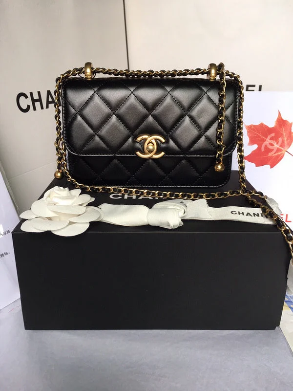 Chanel Limited Edition Handbag for CollectorsWF - Chanel Bags - 3806