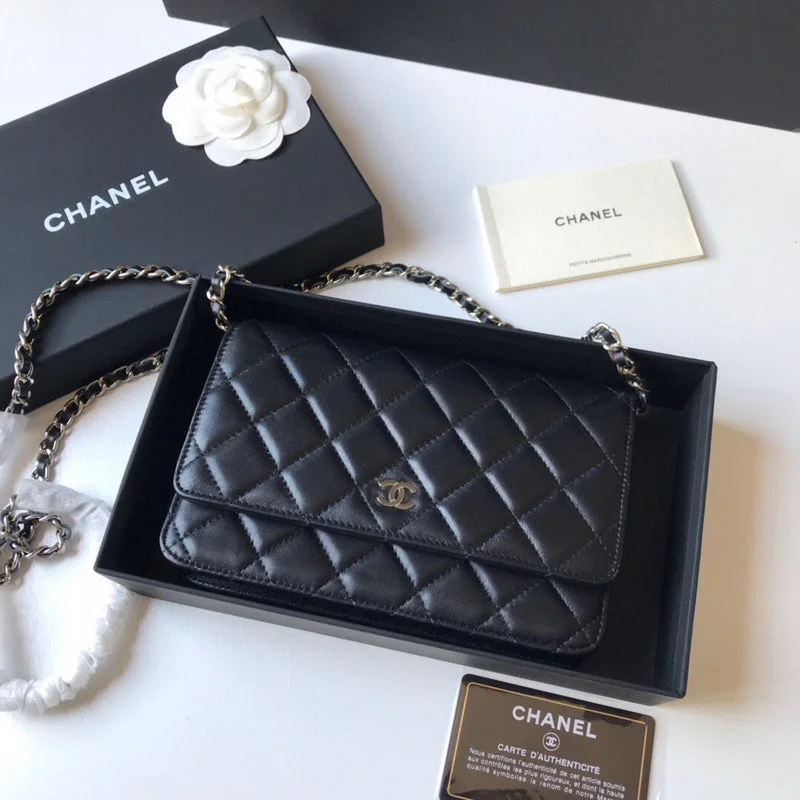 Chanel bags with exclusive seasonal designs and materialsWF - Chanel Bags - 4034